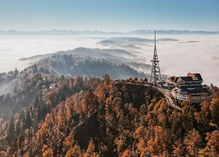 Stayy Nº7 Suites&studios -self Check-in